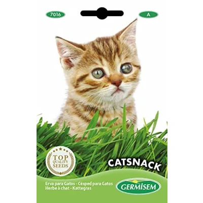 Imagen de Germisem Catsnack Semillas de Hierba para Gatos 10 g, EC7016