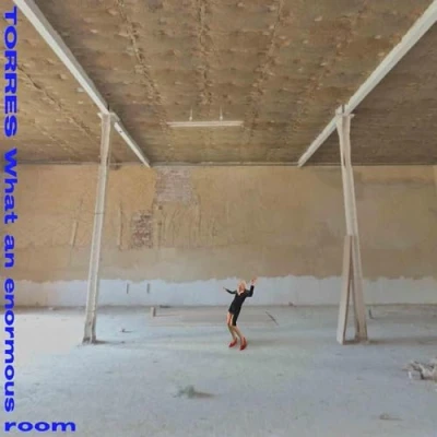 Imagen de What An Enormous Room