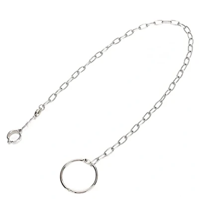 Imagen de Pangdingk Cadena de pie Acero Inoxidable, Anillo Tobillera Entrenamiento Loros Duradero, para domésticos, Aves, Mascotas
