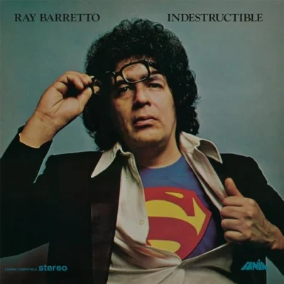 Imagen de Indestructible (Vinilo)