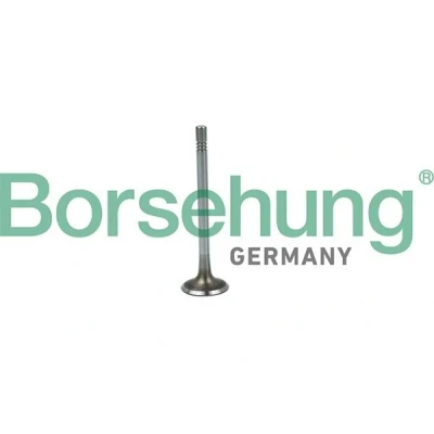 Imagen de Borsehung B19020 Válvula de Admisión VOLKSWAGEN: GOLF 6, Passat B7 Variant, Jetta 3, SEAT: Leon II Hatchback, AUDI: A3 Sportback, Hatchback norauto
