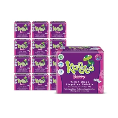 Imagen de Kandoo paquete ahorro Toallitas WC Frutos del bosque 12 paquetes de 2x60 Desechables Un total 1440 toallitas.