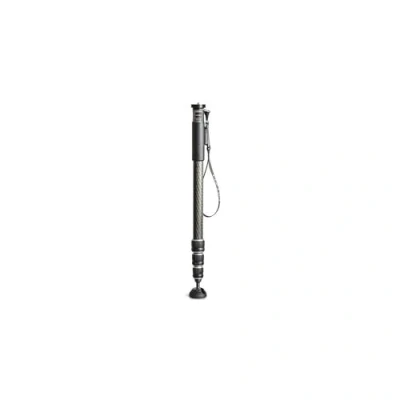 Imagen de Gitzo GM2542 monopods para cámaras (Carbono, Carbono, 1/4, 3/8)
