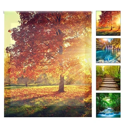 Imagen de Blindecor Digital Paisajes Estor Enrollable Translúcido con Estampado Impresión 130 x 180 cm (ancho por alto) Tamaño de la Tela 127 175 Estores para Ventanas