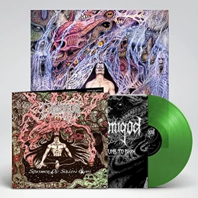 Imagen de Slumber of Sullen Eyes [Vinilo]