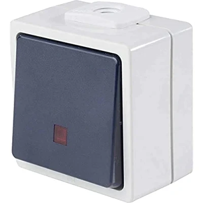 Imagen de as Schwabe Interruptor/contacto iluminado con 2 entradas de cable, IP 54 exterior, gris, 62453
