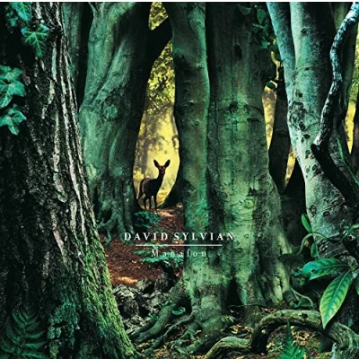 Imagen de Manafon [Vinilo]
