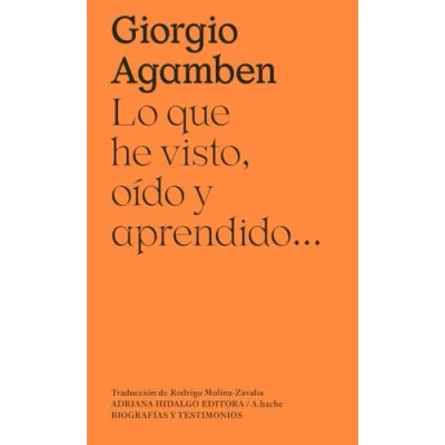 Imagen de Lo que he visto, oído Y aprendido... (BIOGRAFIAS TESTIMONIOS)