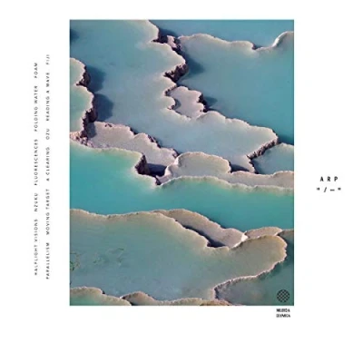 Imagen de Zebra Vinilo