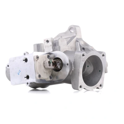 Imagen de PIERBURG 7.00555.06.0 Válvula EGR eléctrico de control con junta VOLVO: S40 II, XC60 I, S80 II norauto, oscaro, mister auto