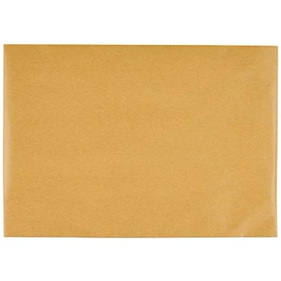 Imagen de Blake Vita B5 Eco Cushion Sobres acolchados de papel kraft reciclado sin plástico (REPDB5), paquete 100, 250 x 176 mm