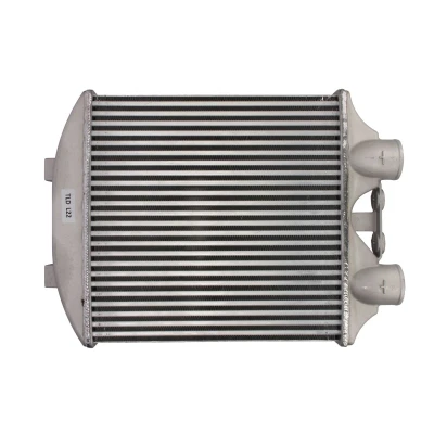 Imagen de Intercooler THERMOTEC DAT003TT