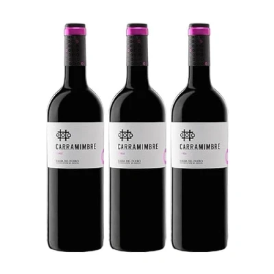 Imagen de Vino Tinto Carramimbre Roble de 75 cl D.O. Ribera del Duero Bodegas (Pack 3 botellas)