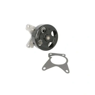Imagen de Saleri SIL PA1518 Bomba de agua mecánico RENAULT: MEGANE 3, SCENIC 3 Coupe, NISSAN: Qashqai / Qashqai+2 I, X Trail