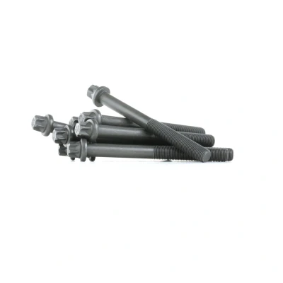 Imagen de REINZ 14 32040 01 Juego de Tornillos Culata Torx exterior OPEL: Astra F Caravan, Kadett E CC, CC