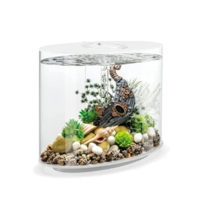 Imagen de biOrb Loop 30 MCR Negro