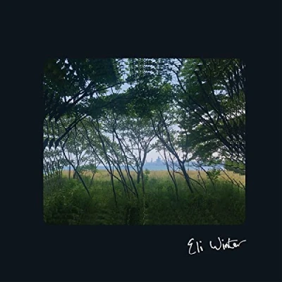Imagen de Eli Winter [Vinilo]