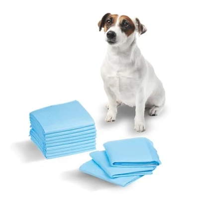 Imagen de GreenBlue GB495 Juego de Empapadores Adiestramiento para Perros y Cachorros Higiénicos Desechables 6 Capas (60x40cm, 50)