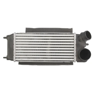 Imagen de Intercooler THERMOTEC DAG014TT