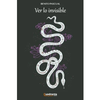 Imagen de Ver Lo Invisible