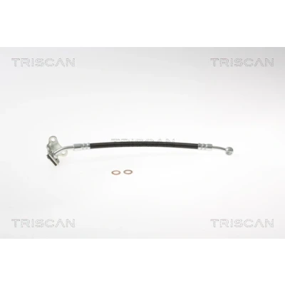 Imagen de TRISCAN 8150 18116 Latiguillos de Freno 259 F10x1