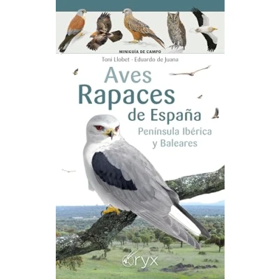 Imagen de Aves Rapaces de España, Peninsula Iberica Y Baleares (Miniguía campo)
