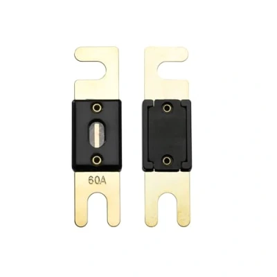 Imagen de Offgridtec Fusible ANL 60A 72V DIN43560/1 5 Set