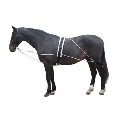 Imagen de Shires Lunging Aid Talla única, color Negro, Taille unique