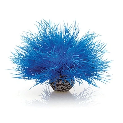 Imagen de biOrb Lirio de mar para acuarios en color azul