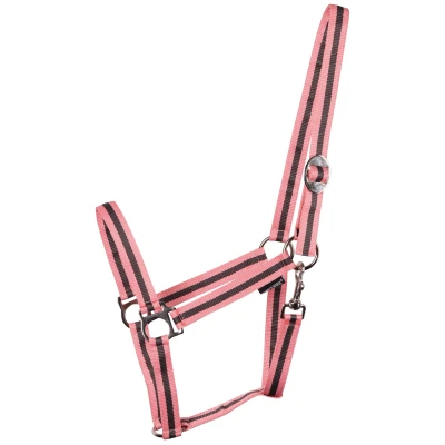 Imagen de Harry&#039;s Horse Halter Economy