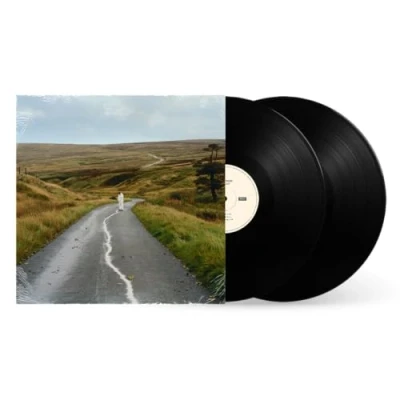 Imagen de The Loop (2LP) [Vinilo]