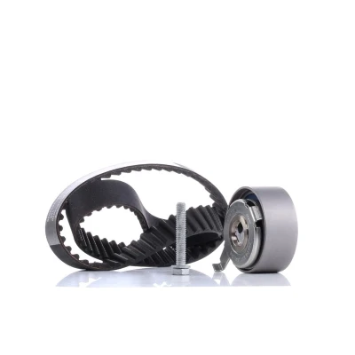 Imagen de INA 530 0481 10 Kit de correa distribución 83 AUDI: A6 C6 Berlina, Q7, A5 B8 Coupé, VOLKSWAGEN: Touareg I norauto, oscaro, mister auto