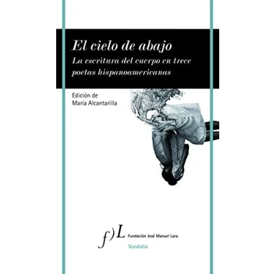 Imagen de El cielo de abajo: La escritura del cuerpo en trece poetas hispanoamericanas: 1 (VANDALIA)