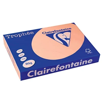Imagen de Clairefontaine Resma de papel, 80 gr/m², 500 hojas, Salmón, A3 (42 x 29.7 cm)