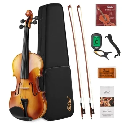 Imagen de Eastar EVA 330 4/4 Solid Wood Violin Set With Two Bow