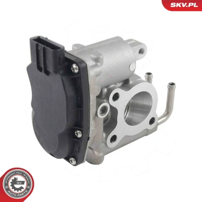 Imagen de Válvula EGR ESEN SKV 14SKV294