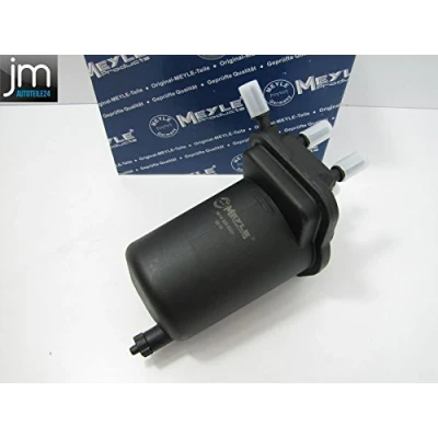 Imagen de MEYLE 16 14 323 0007 Filtro Combustible de tubería ORIGINAL Quality RENAULT: CLIO 2, Kangoo I, II Express, NISSAN: Juke