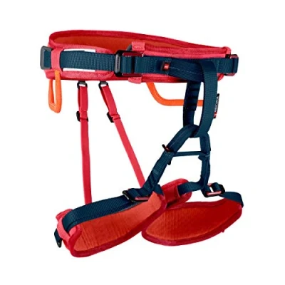 Imagen de Mammut Ophir Kids Arnés, Unisex Infantil, Rojo (Barberry), Talla Única