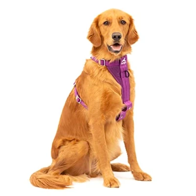 Imagen de Kurgo Tru Fit Arnés para Perro, de Paseo Perros, Anillo en D Entrenamiento sin Tirones, Incluye Mosquetón Seguridad Morado, XL