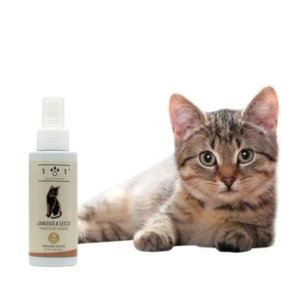 Imagen de Champú seco natural y vegetal para gato, sin necesidad de agua ni aclarado, un lavado en eficaz, línea 101 (100 ml)