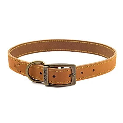 Imagen de Ancol Timberwolf Collar de Piel para Perro, 45 54 cm, Mostaza