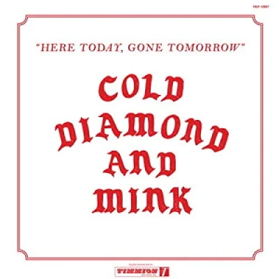 Imagen de Here Today, Gone Tomorrow Vinilo