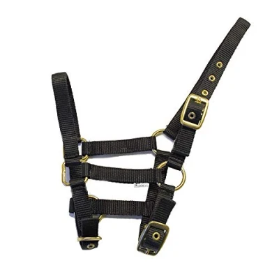 Imagen de Rhinegold Nylon Foal Headcollar Black Cabezada de Nailon Potro, Negro, Talla única