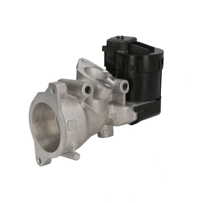 Imagen de Válvula EGR DELPHI EG10591