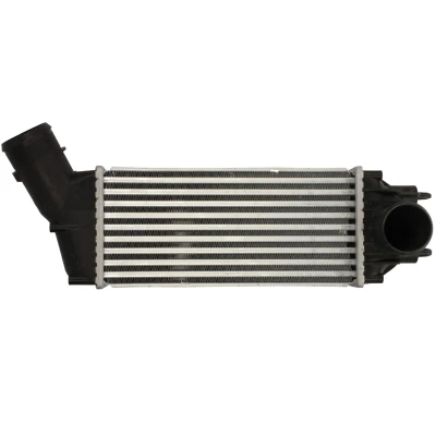 Imagen de Intercooler THERMOTEC DAC016TT