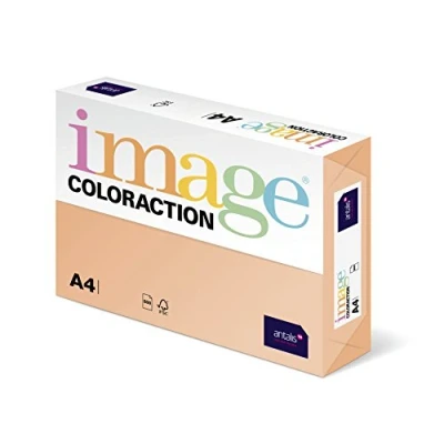 Imagen de Antalis 838A 120S 11 Papel para fotocopiadora (DIN A4, 120 g/m2), color salmón