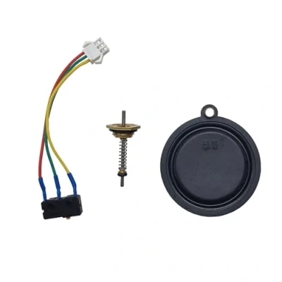 Imagen de Kit de mantenimiento para calentador o termo gas membrana, microinterruptor, actuador