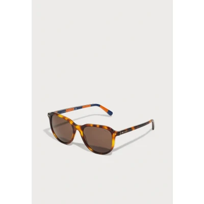 Imagen de Polo Ralph Lauren Unisex Gafas de sol, Talla: 53, Havana