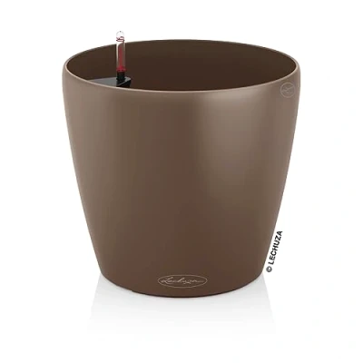 Imagen de Lechuza Classico Color 21 Nuez moscada 13183