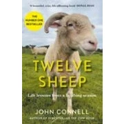 Imagen de Twelve Sheep